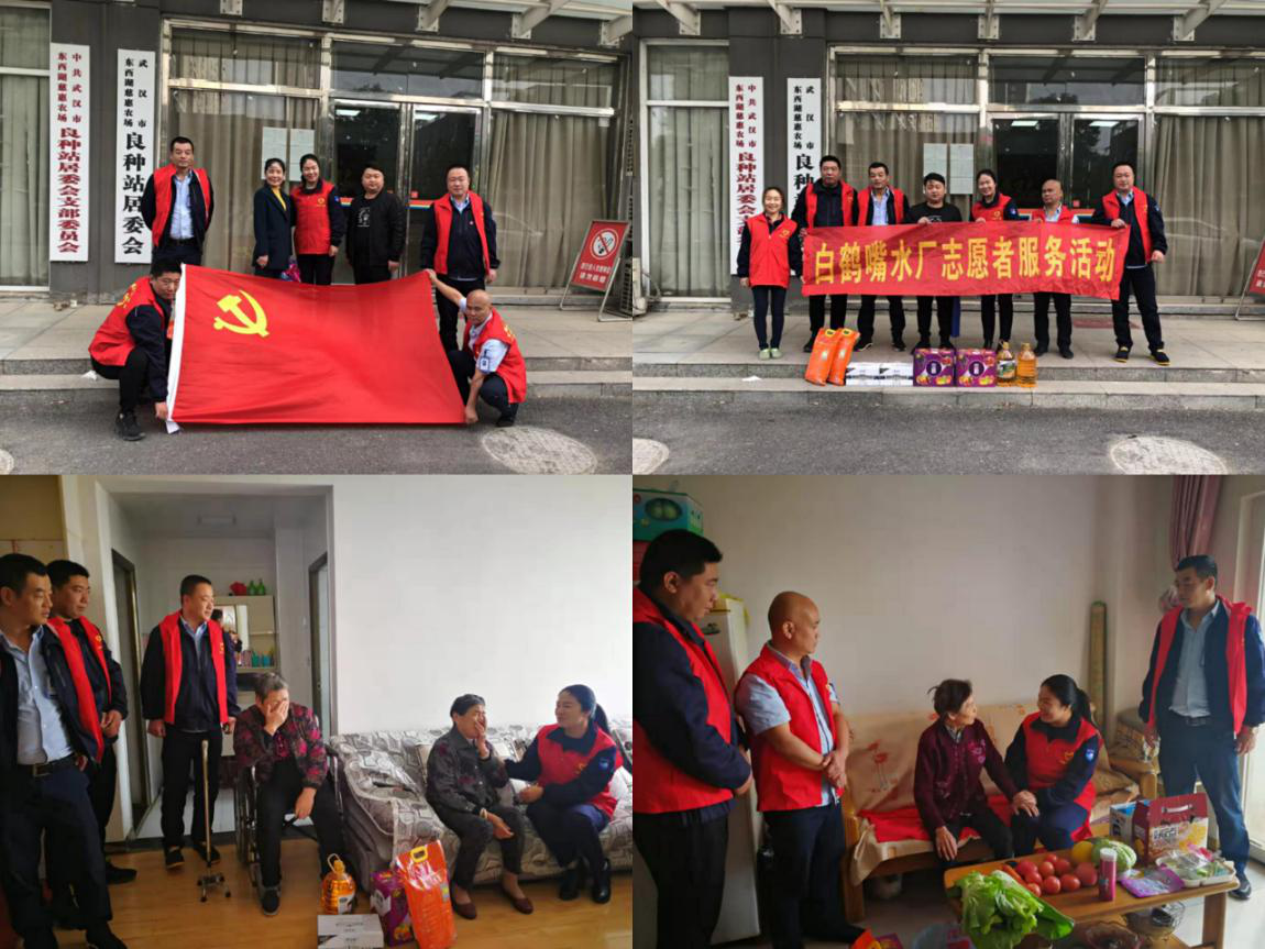 图片11.png