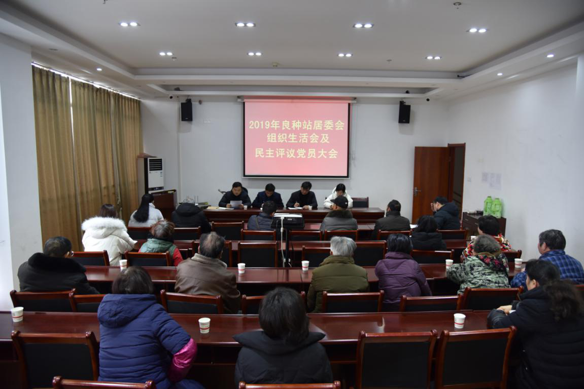 图片19.png